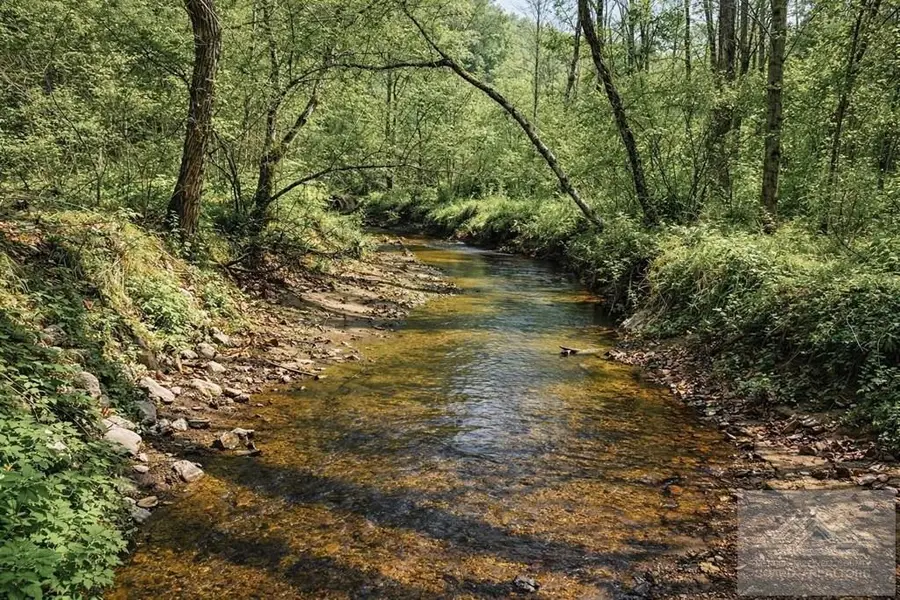 0 Brewsterdale Road, Squire, WV 24884 - #2