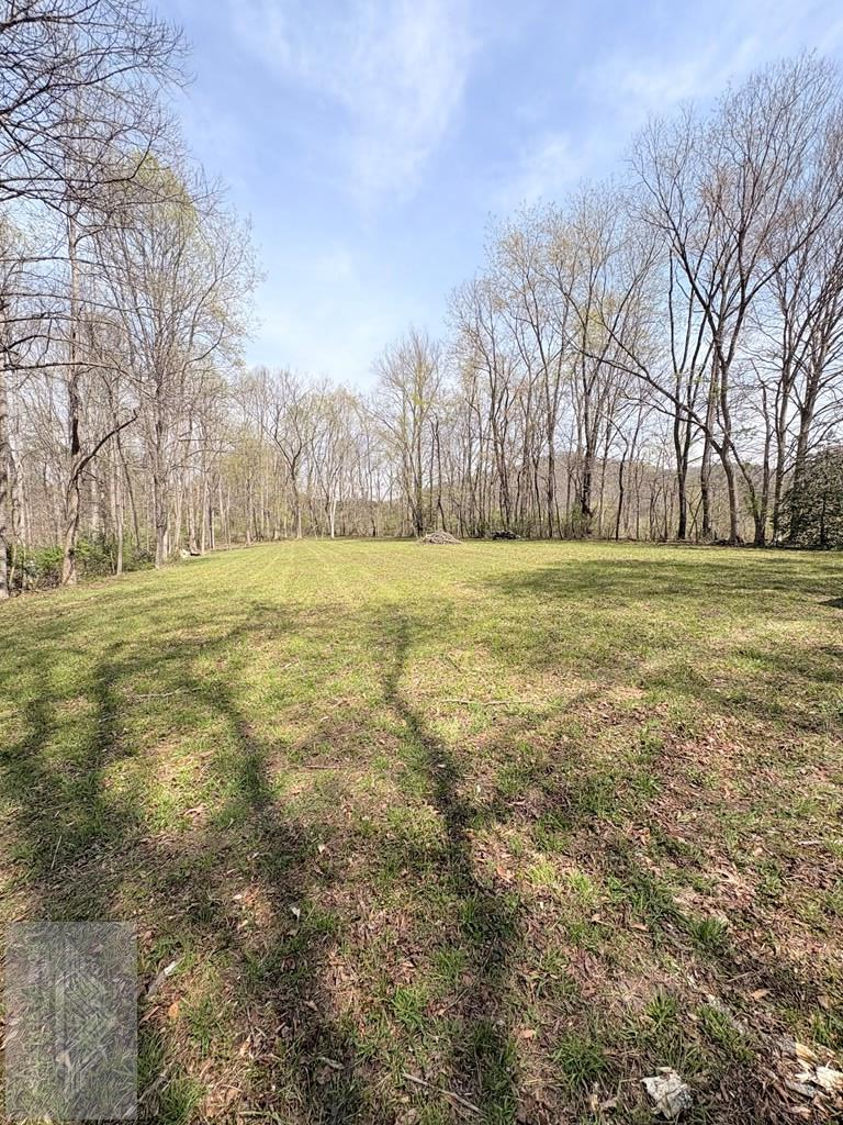 0 Bacon Falls Road, Talcott, WV 24981 - #2