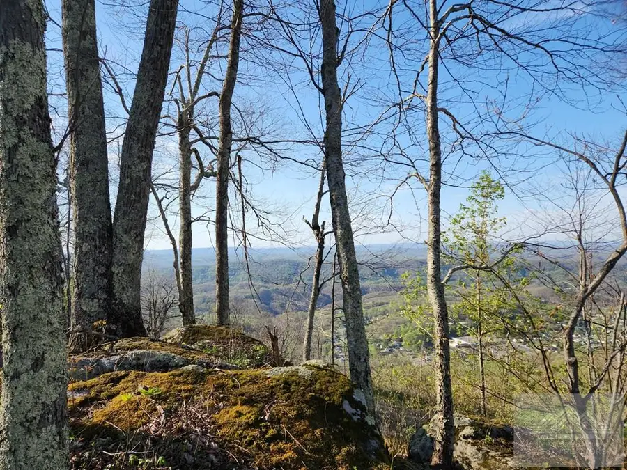 300 Overlook Lane, Bluefield, VA 24315 - #3