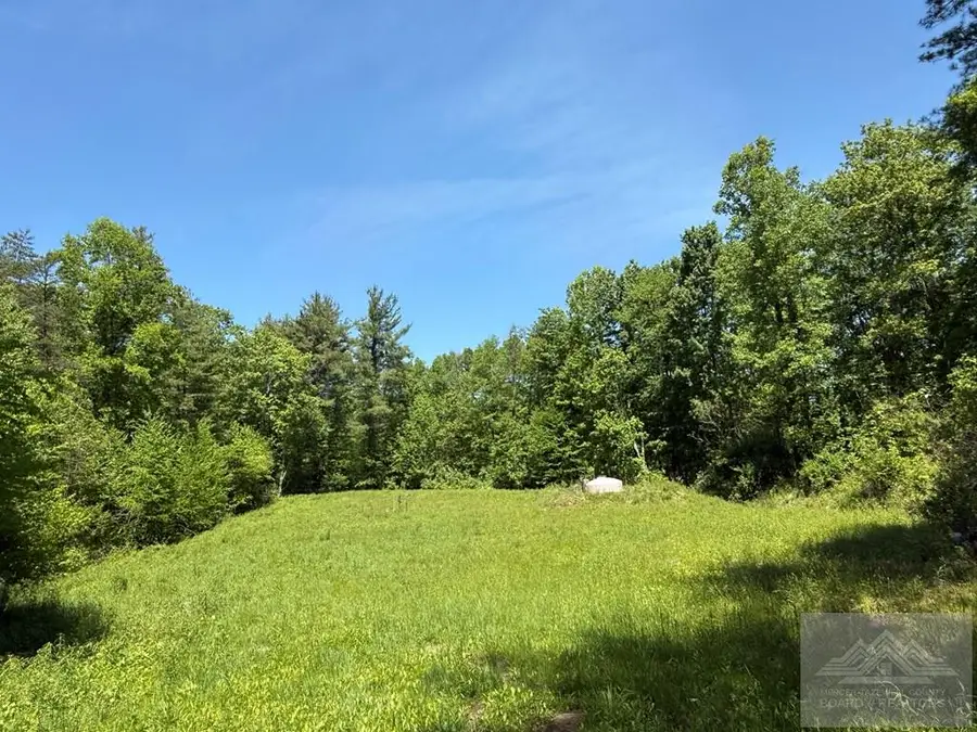 0 Browning Lambert Mountain, Rock, WV 24747 - #2