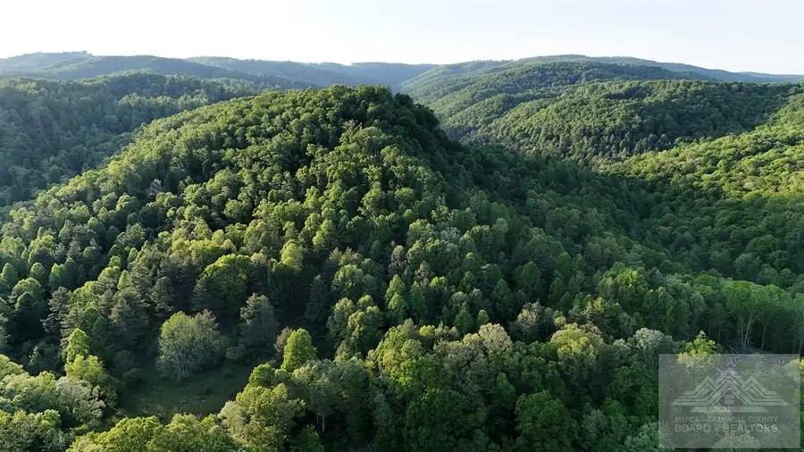 11 Old Schoolhouse Rd., Flat Top, WV 25841 - #2