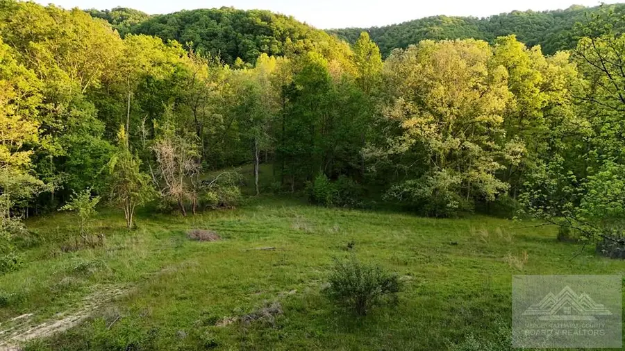 11 Old Schoolhouse Rd., Flat Top, WV 25841 - #3