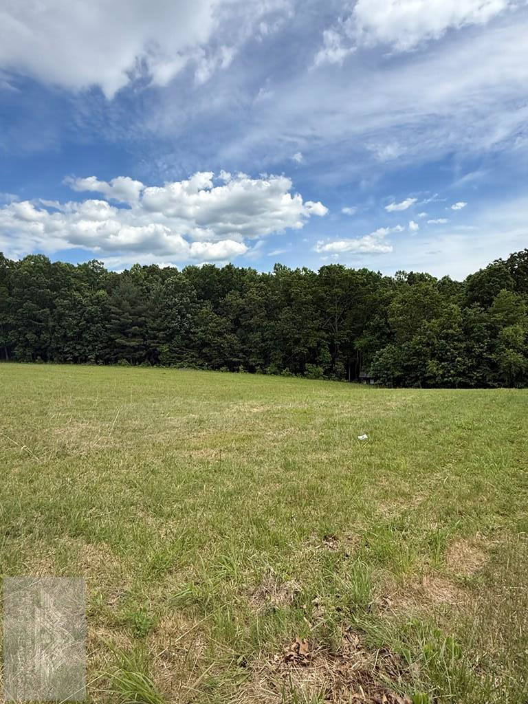 0 Fritz Run Rd., Ballard, WV 24918 - #2