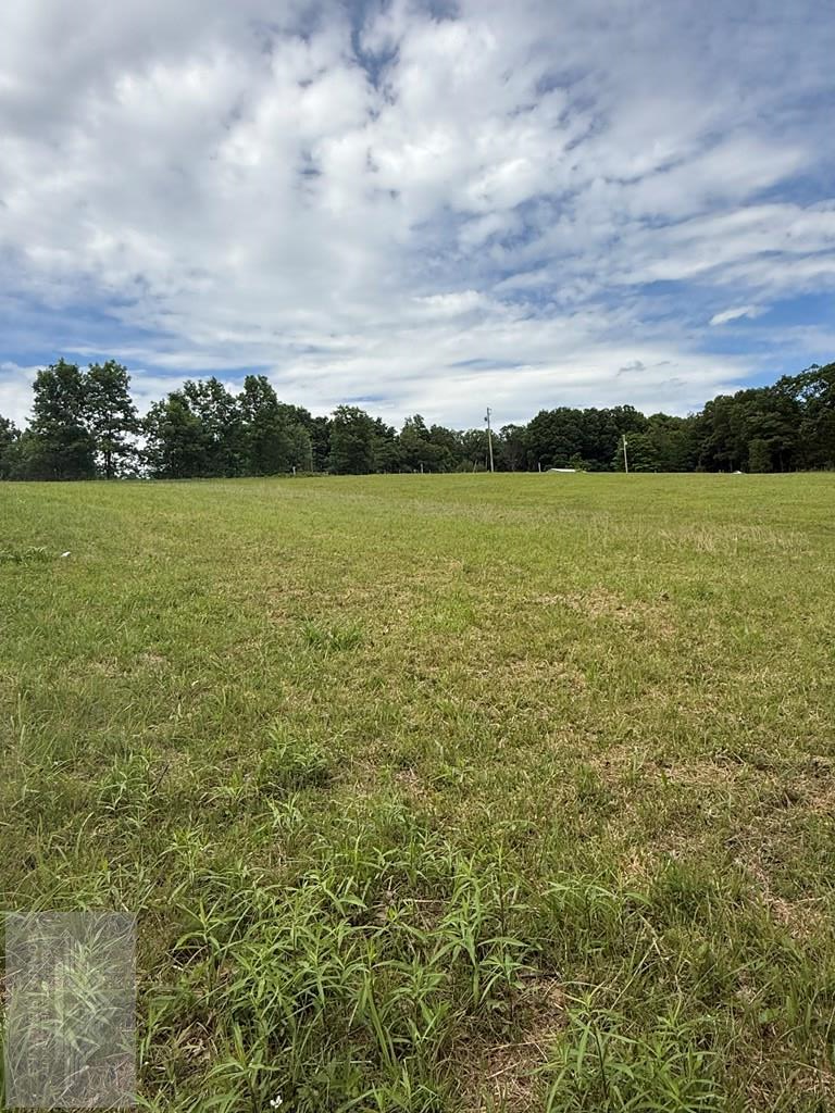 0 Fritz Run Rd., Ballard, WV 24918 - #3