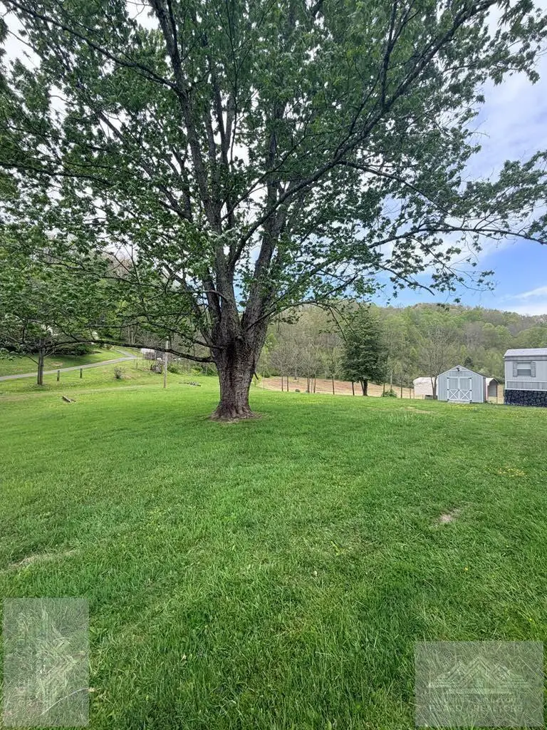 250 Hicks Hollow Road, Rock, WV 24747 - #2
