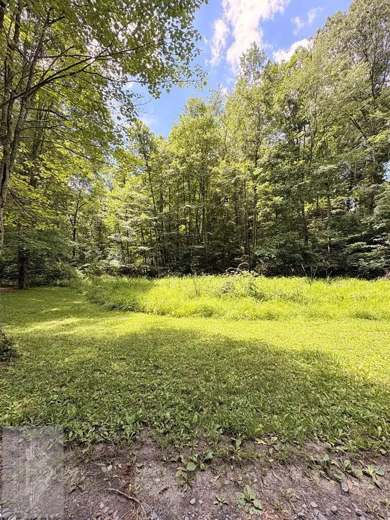 0 Pine View Drive, Pipestem, WV 25979 - #1