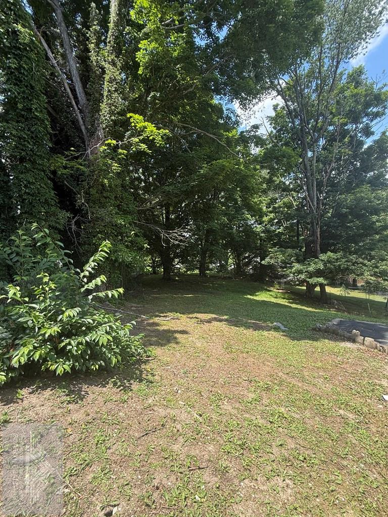 609 Longview Ave, Bluefield, WV 24701 - #3