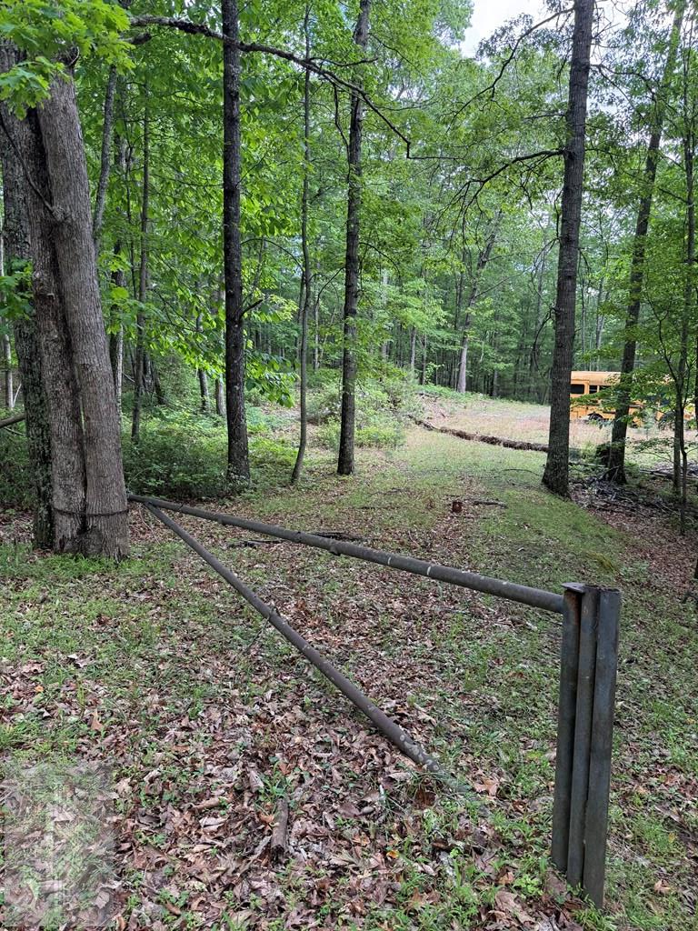 3086 Wyrick Trail, Bland, VA 24315 - #2