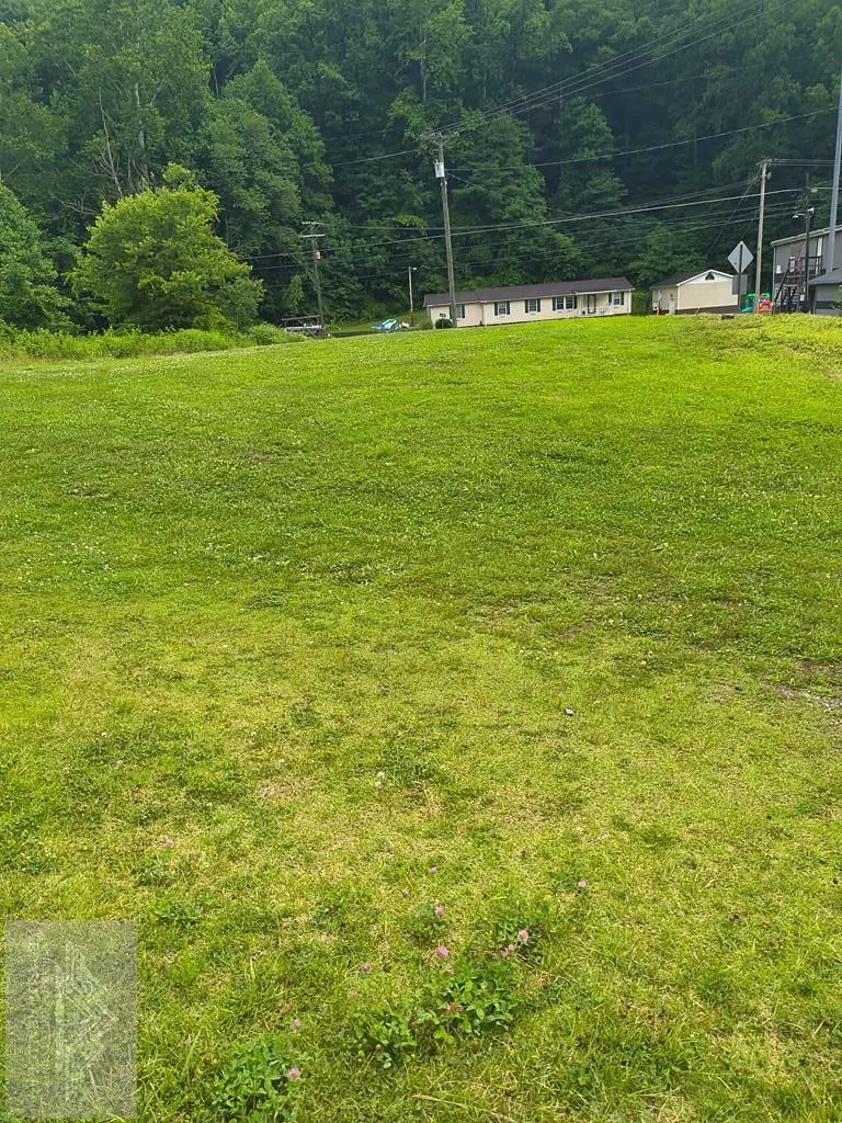 00 Jean St, Coalwood, WV 24801 - #1