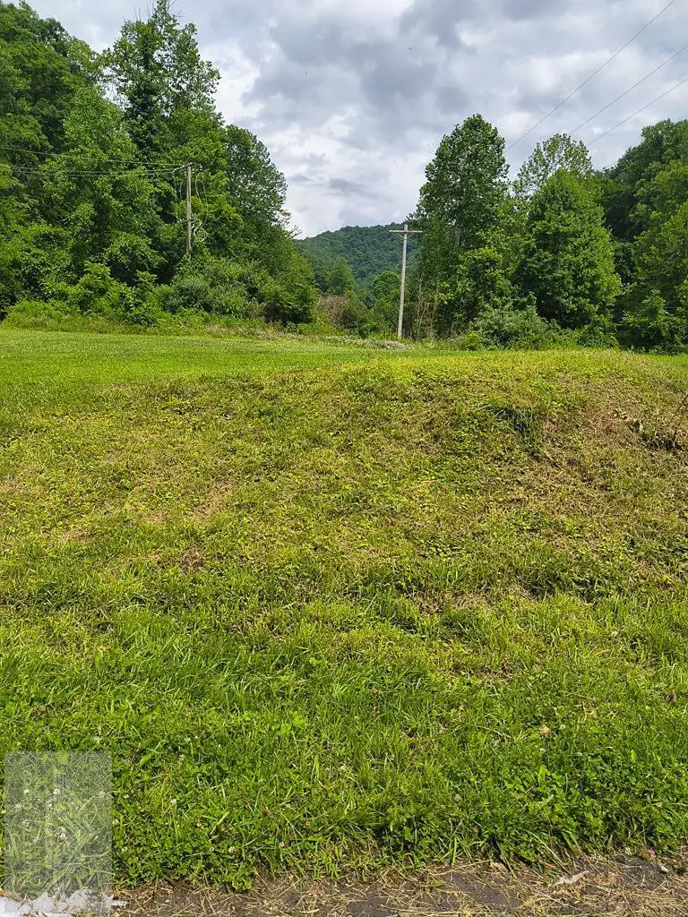 00 Jean St, Coalwood, WV 24801 - #2