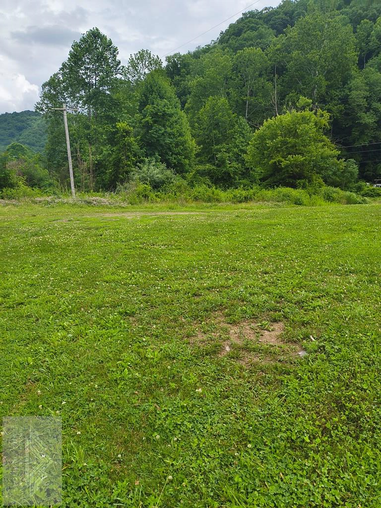 00 Jean St, Coalwood, WV 24801 - #3