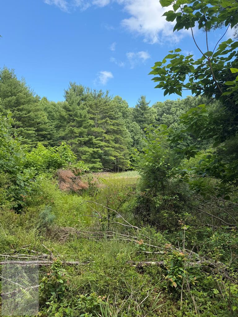 0 Cornbread Ridge, Princeton, WV 24739 - #1