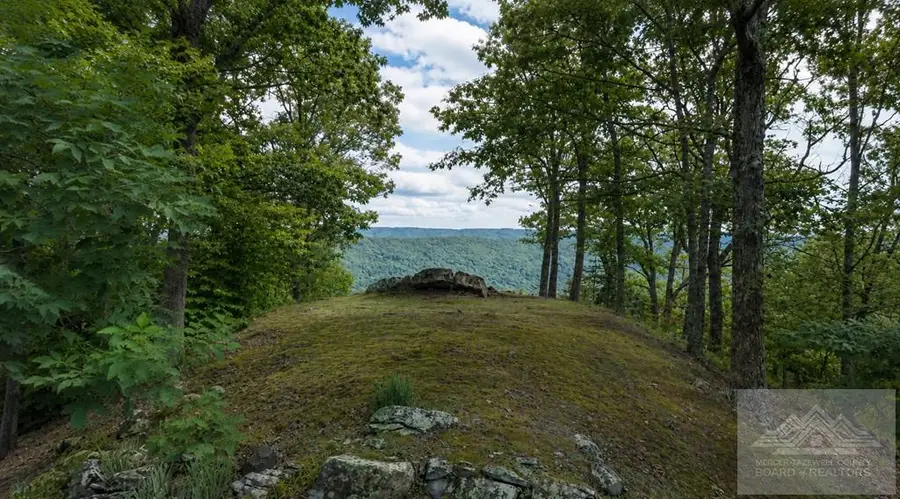 2367 EAST RIVER MOUNTAIN ROAD, Rocky Gap, VA 24366 - #3