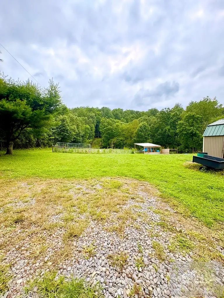 664 Bolling Road, Jumping Branch, WV 25969 - #2