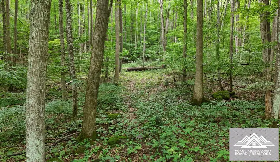 900 Hayes Valley Rd., Princeton, WV 24739 - #2