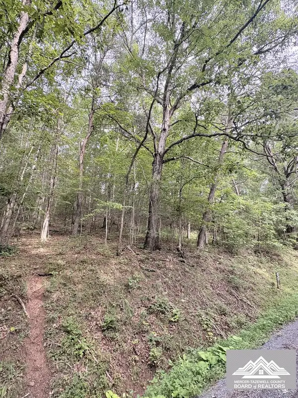 0 W Clayton Rd, TALCOTT, WV 24981