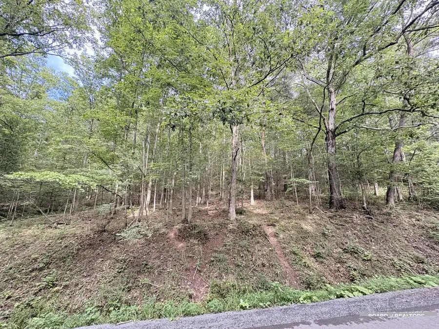 0 W Clayton Rd, Talcott, WV 24981 - #2