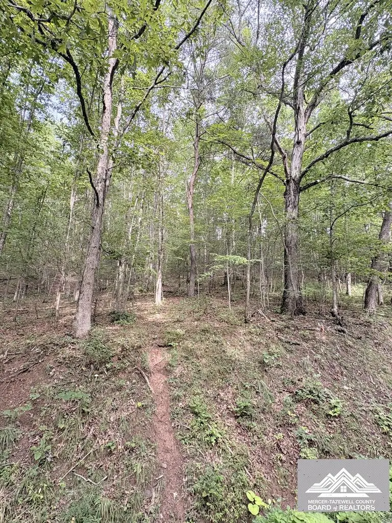 0 W Clayton Rd, Talcott, WV 24981 - #3