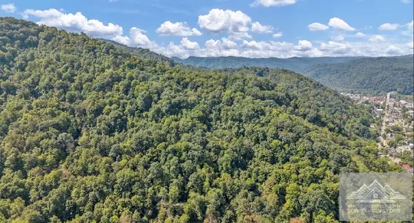 0 Raleigh Street, HINTON, WV 25951