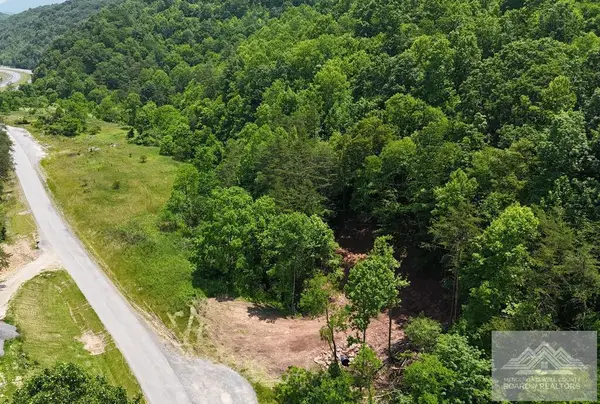 11 Possum Hollow Rd, PRINCETON, WV 24739