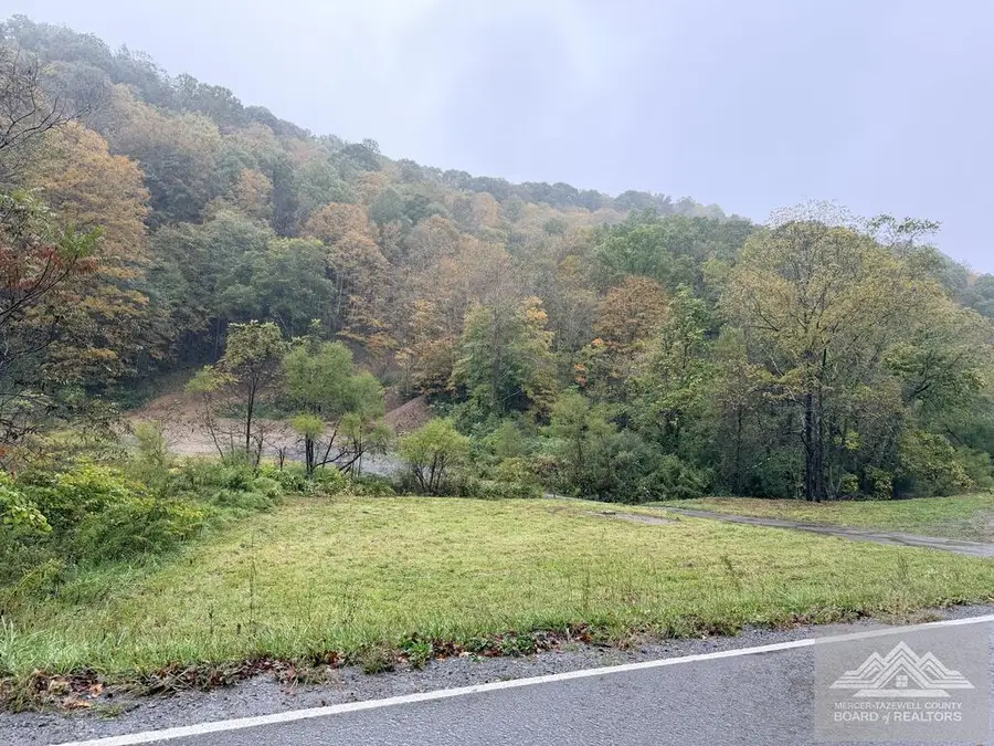 1569 Crane Creek Rd, Rock, WV 24747 - #2