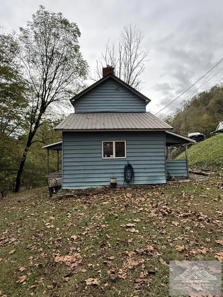 166 Laurel St, Gary, WV 24895 - #3