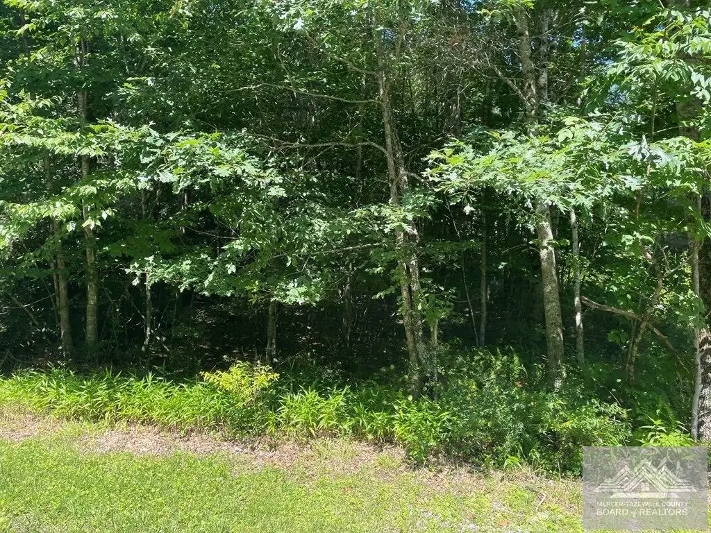 Lot 31/3 Cove Creek Road, Clear Fork, VA 24314 - #1