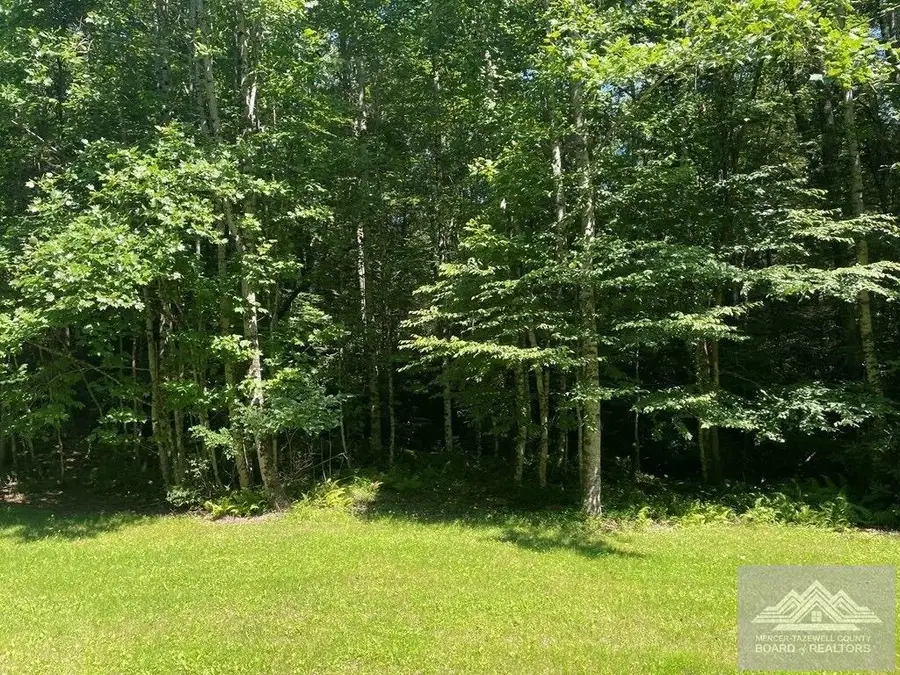 Lot 31/3 Cove Creek Road, Clear Fork, VA 24314 - #2