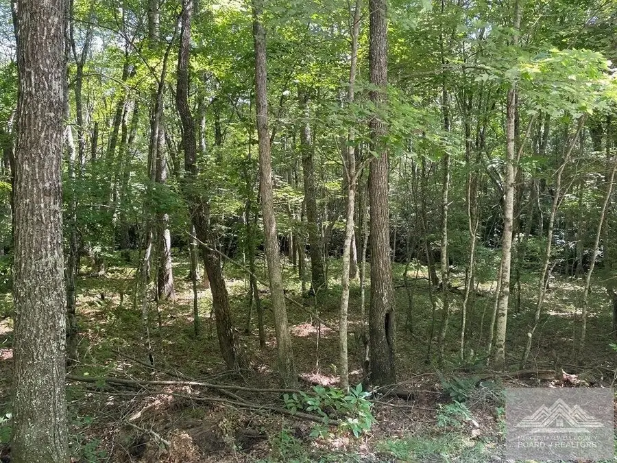 Lot 31/3 Cove Creek Road, Clear Fork, VA 24314 - #3