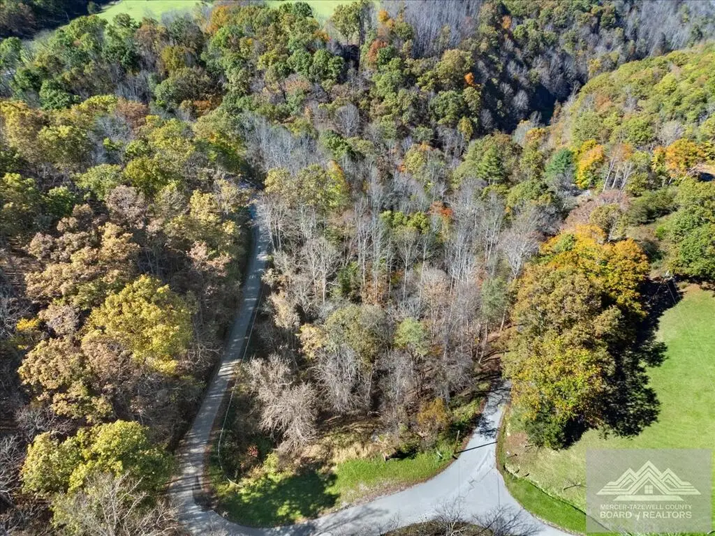 4329 Cooks Run Rd, Greenville, WV 24951 - #1