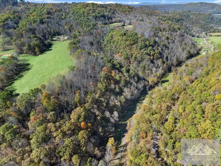 4329 Cooks Run Rd, Greenville, WV 24951 - #3