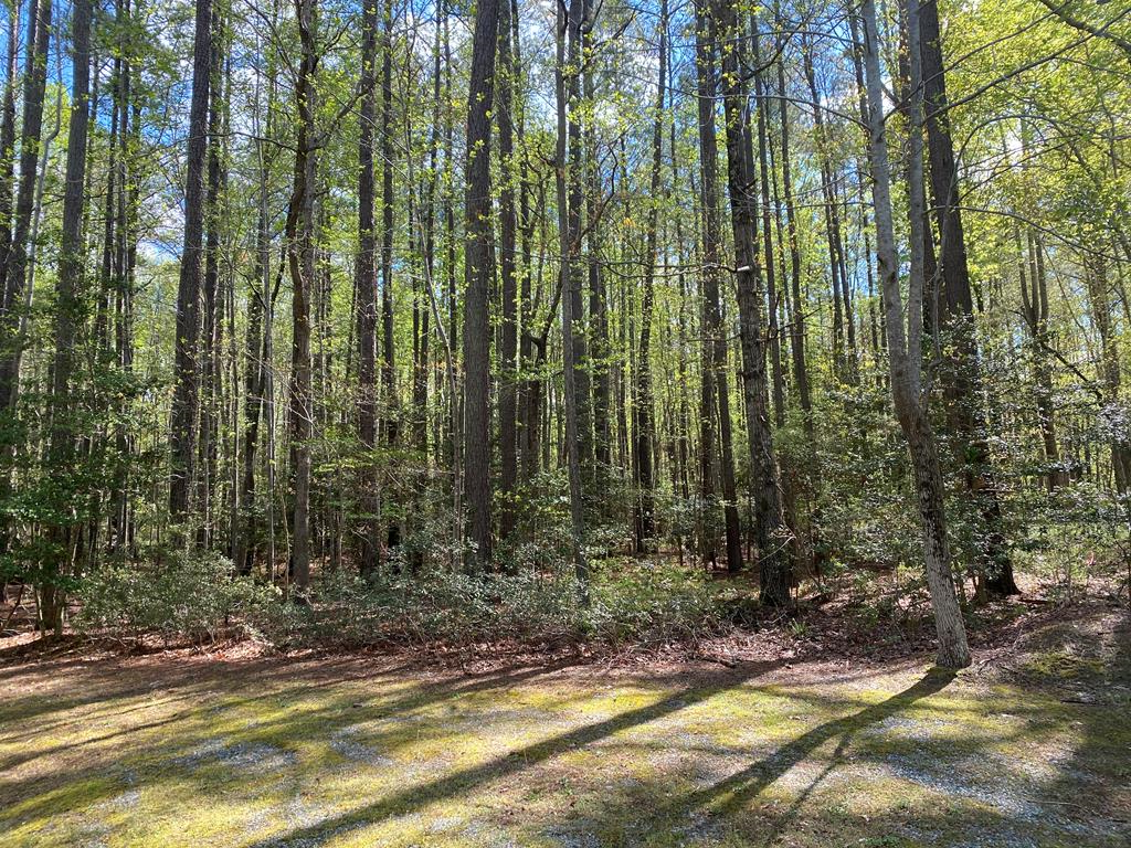 46 Eagles Trace, City Unavailable, VA 22503 - Image #1