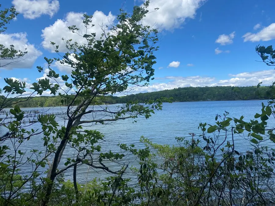 Lot 61 B Ketch Ct, City Unavailable, VA 22473 - Image #2