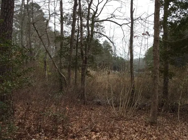 Lot 36 Hall Farm Drive, , VA 22579