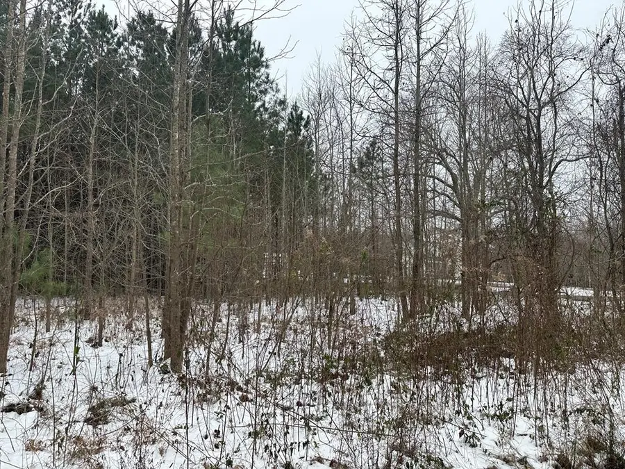 Lot 4 Indian Valley Road, Heathsville, VA 22473 - Image #3