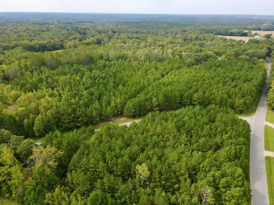 Lot 1 Lewis Lane, City Unavailable, VA 22473 - Image #2