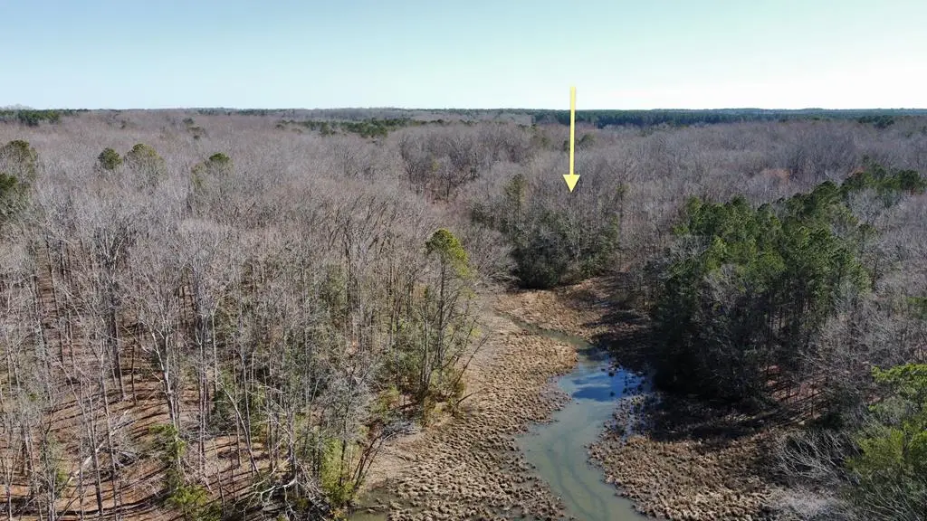 13 Glenwood Lane, Natural Bridge, VA 22480 - Image #1