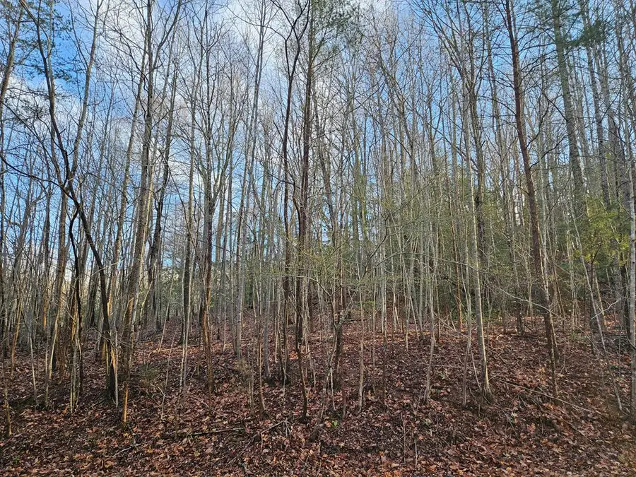 Lot7,8,9 Old Prospect Landing Road, Montross, VA 22520 - #3