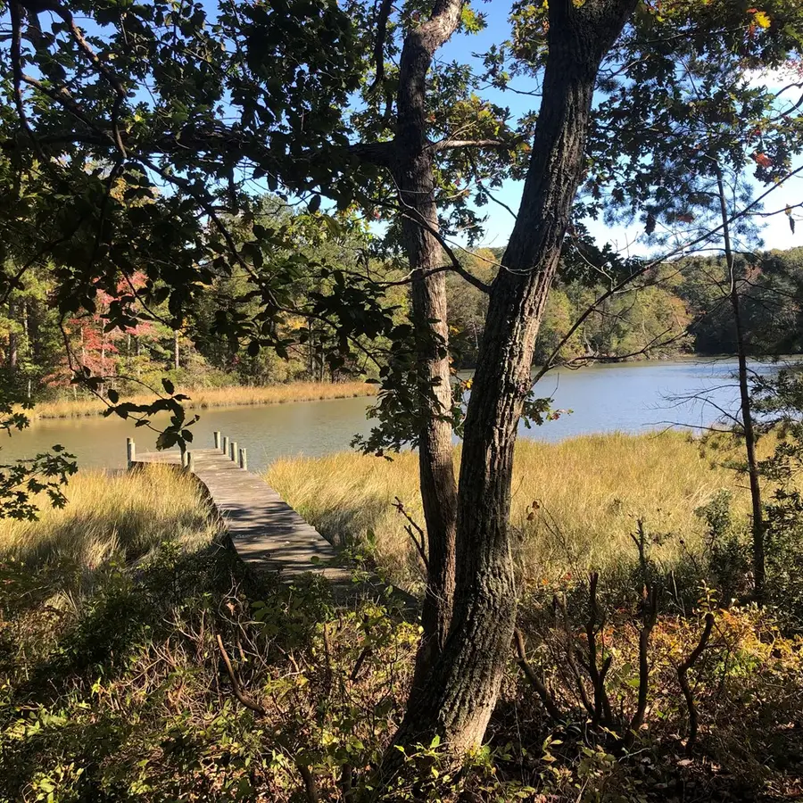 Lot 20-3 Wicomico Way, Heathsville, VA 22473 - Image #3