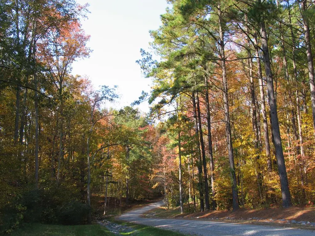 12 Glenwood Lane, Natural Bridge, VA 22480 - Image #1