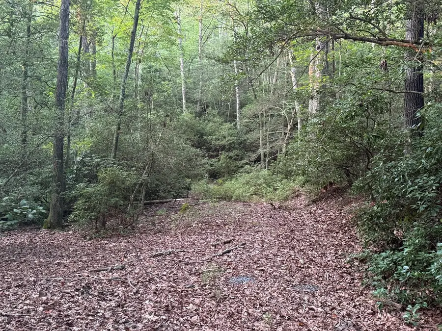 Lot 184 Wild Horse Trl, Lancaster, VA 22503 - Image #2