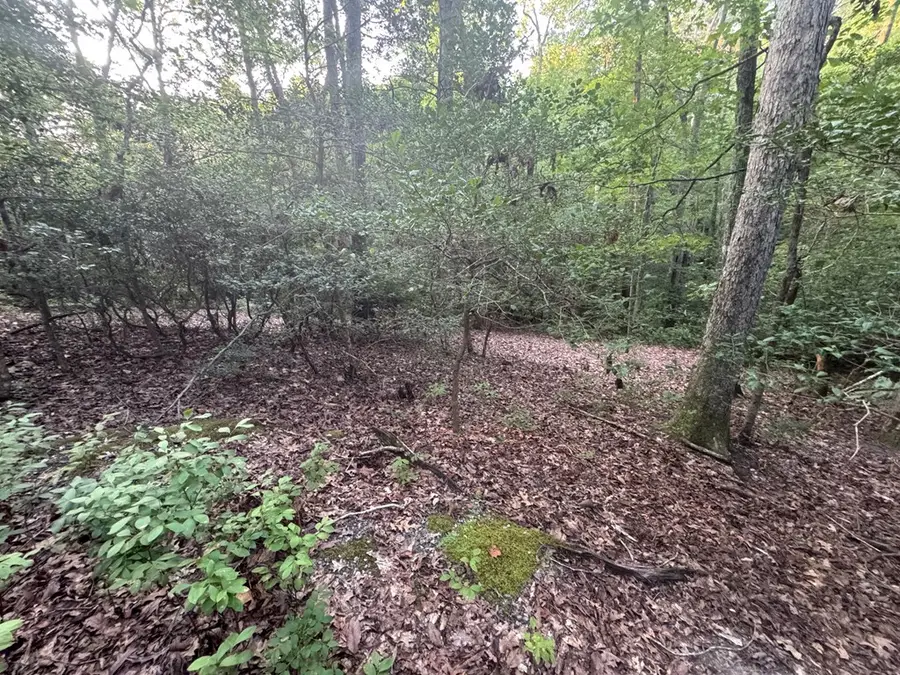 Lot 184 Wild Horse Trl, Lancaster, VA 22503 - Image #3