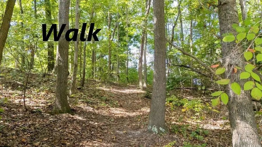 TM26G-29 Black Stump Road, Weems, VA 22576 - Image #2