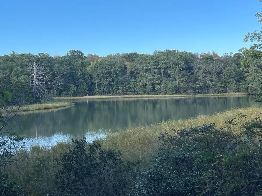 653 Blackbeard Pond Road, Cople, VA 22469 - Image #2