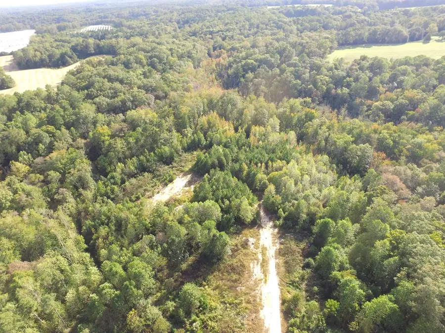 55-98 Kings Mill Road, Kinsale, VA 22488 - Image #2