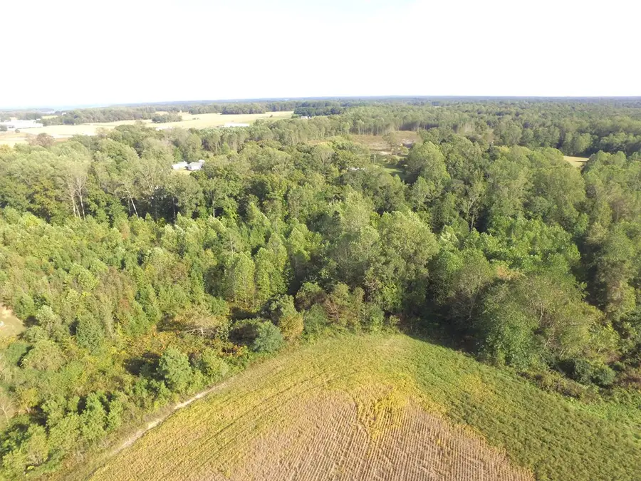 55-98 Kings Mill Road, Kinsale, VA 22488 - Image #3