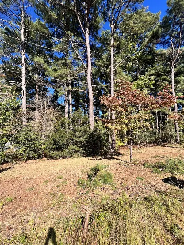 Lot 61 South Glebe Road, , VA 22520