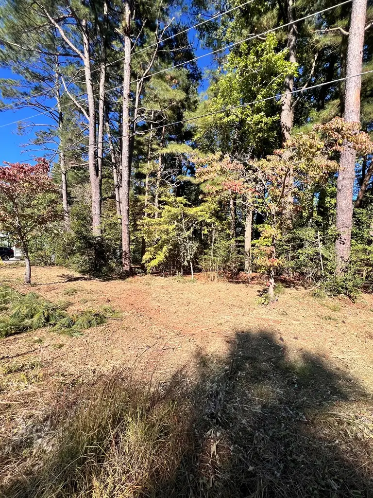 Lot 61 South Glebe Road, Cople, VA 22520 - Image #2