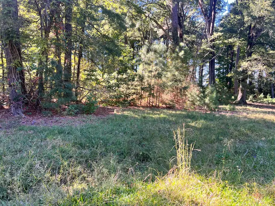 252 Lighthouse Lane, Cople, VA 22520 - Image #2