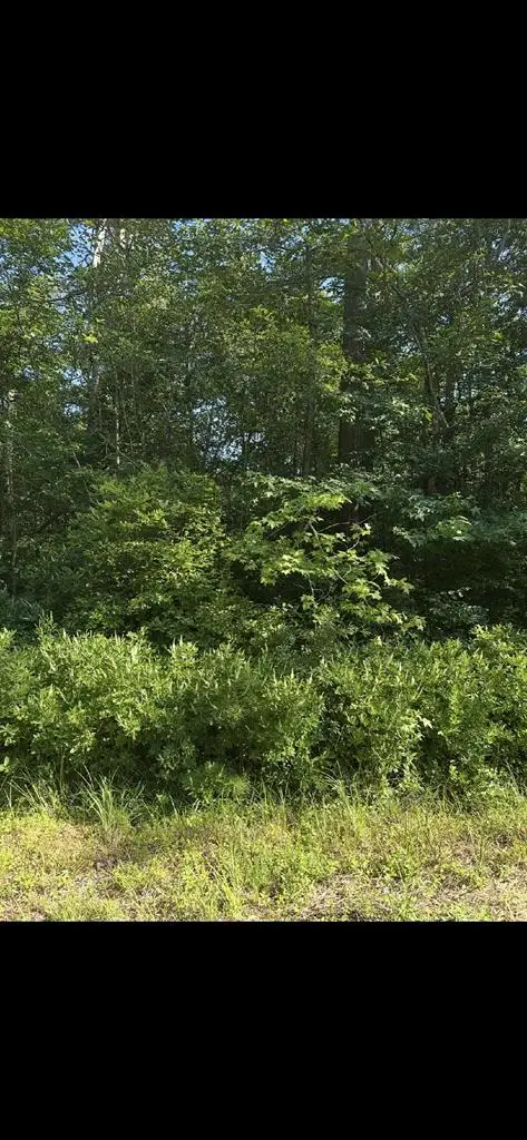 Lot 22 Lake Drive, Washington, VA 22443 - #1